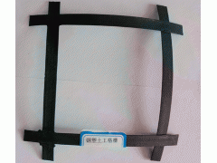 钢塑格栅厂家直销图2