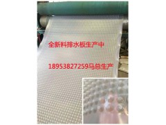 塑料排蓄水板 凹凸型塑料疏水板 PVC塑料疏水板排水板图2