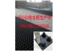 50mm厚渗排水片材 地下室车库顶板排水板图1