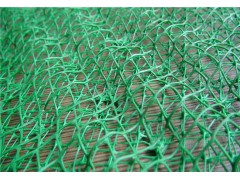 护坡三维植被网供应图1