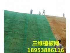 三维土工网垫低价销售；诚招代理商图1