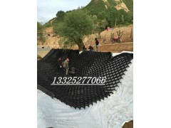 土工格室应用于边坡-道路图2