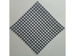 玻纤土工格栅现货供应图2