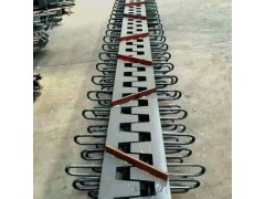 供应定做加工各类桥梁伸缩缝图2