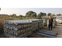 丝网基地大量供应各种勾花网图1