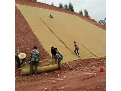 山东厂家批发生态护坡椰丝毯 环保草毯 抗冲生物毯图3