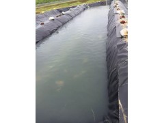 复合土工膜两布一膜 长丝 蓄水池防渗水 处理厂专用图2