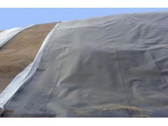 厂家以销定产规格齐全最低出厂价土工布、土工膜图3