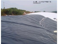 土工布防渗土工膜厂家直销专供图2