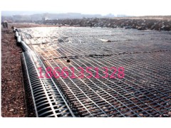 钢塑格栅现货，质量好，价格低，图3