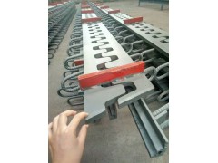 东北地区全境销售桥梁伸缩装置图1