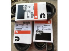 Cummins/康明斯 发动机皮带 3288812 原厂配件图1