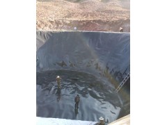 厂家定制生产HDPE黑色土工膜 鱼塘蓄水池专用防渗膜图3