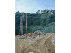 边坡草籽花籽CF网镀锌网保水剂粘合剂草种绿化材料批发图1