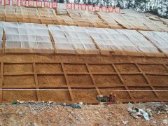 边坡CF网全国批发出售图2