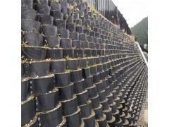 山东蜂巢土工格室厂家出售 河道治理 边坡防护专用土工格室图2