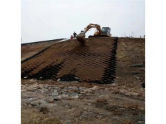 山东蜂巢土工格室厂家出售 河道治理 边坡防护专用土工格室图3