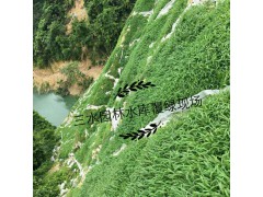 边坡绿化施工护坡喷草护坡客土喷播绿化施工图2