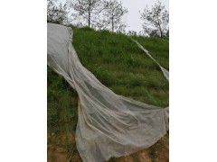 边坡绿化施工护坡喷草护坡客土喷播绿化施工图3