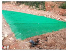 厂家定制加筋三维植被网生 绿化种草边坡防护用三维植被网图1