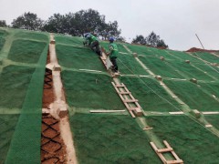 厂家定制加筋三维植被网生 绿化种草边坡防护用三维植被网图3