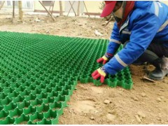 厂家定制生产塑料植草格 绿花种草高强度消防通道绿色植草格图1