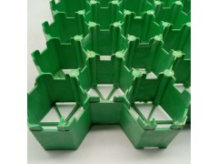 厂家定制生产塑料植草格 绿花种草高强度消防通道绿色植草格图3