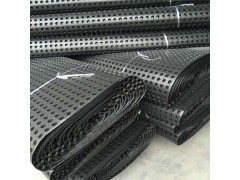 厂家直销HDPE塑料排水板 地下车库排水工程屋顶绿化排水板图2