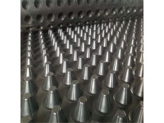 厂家直销HDPE塑料排水板 地下车库排水工程屋顶绿化排水板图3