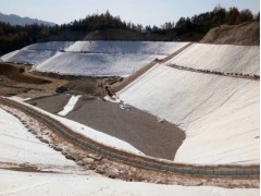 膨润土防水毯厂家直销 垃圾填埋人工湖GCL纳基覆膜防水毯图2