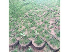 绿化护坡 河道治理蜂巢约束系统 打孔压花规格齐全图3