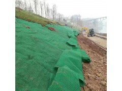 厂家直销三维土工网垫 边坡防护绿花种草图1