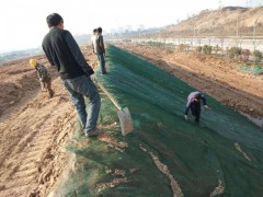 厂家直销三维土工网垫 边坡防护绿花种草图3