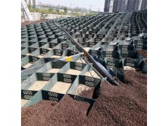 定制生产蜂巢土工格室 边坡防护 河道治理专用土工格室图2