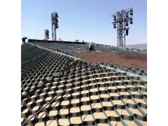 定制生产蜂巢土工格室 边坡防护 河道治理专用土工格室图3