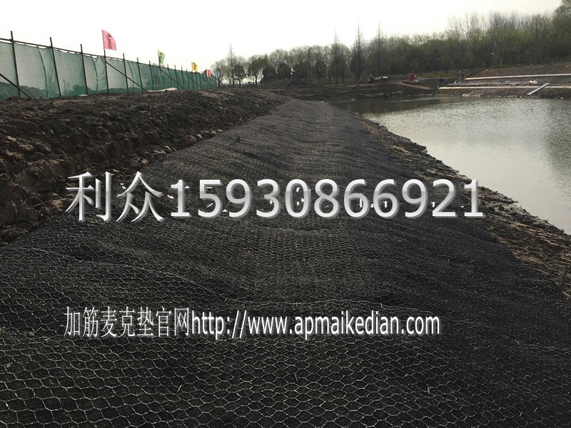 000-wtqETrGCVRpN_conew1