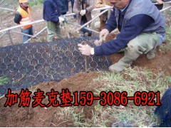 加筋麦克垫 @镀高尔凡加筋麦克垫厂 @高质量加筋麦克垫厂图1