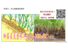 加筋麦克垫 @湖北加筋麦克垫 @加筋麦克垫厂家图2