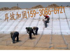 雷诺护垫在河道中的应用图3