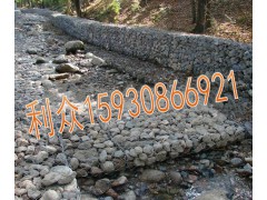 雷诺护垫技术在河道护坡工程中的应用及其生态意义图1