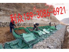 雷诺护垫技术在河道护坡工程中的应用及其生态意义图2