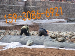 雷诺护垫技术在河道护坡工程中的应用及其生态意义图3