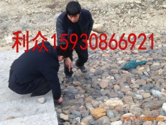 格宾网厂家 镀锌格宾网挡墙 格宾网箱优质厂家图1