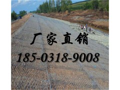 绿滨垫厂家 大型护坡绿滨垫生产厂家图1