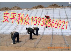 格宾网箱护岸 高锌格宾网 8*10格宾网厂图2