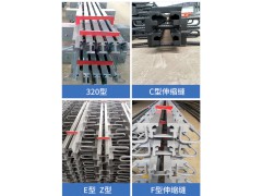 直销公路市政桥梁CFZE型D160240模数式梳齿板伸缩缝图2