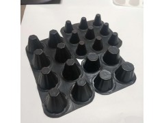 山东专业厂家直销排水板图3