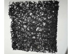 厂家直销渗排水片材（排水土工席垫）图2