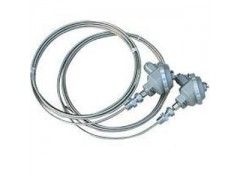 厂家批发铠装热电阻WZPK图1