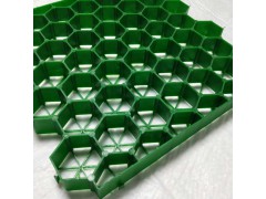 厂家直销 塑料植草格图1